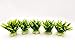 BEGONDIS 5Pcs Aquarium Decorations Fish Tank Artificial Green Water Plants Made of Soft Plastic,Safe for All Fish & Petsthumb 3