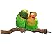 BWOGUE Bird Perch,Natural Grapevine Bird Cage Perch for Parrot Cages Toythumb 1