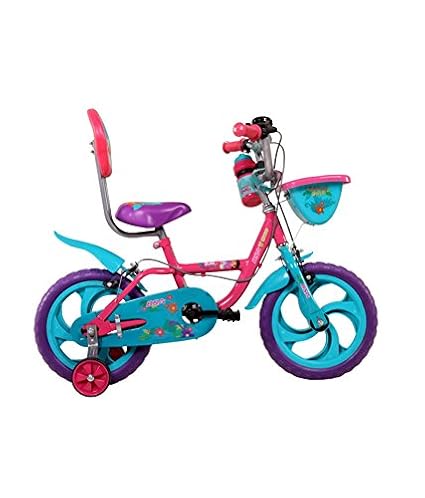 bsa dora cycle
