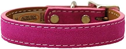 Pink auburn dog collar Clearance