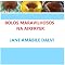 Livro BOLOS MARAVILHOSOS NA AIRFRYER