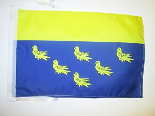 AZ FLAG, West Sussex county Flag, 18'' x 12'', 100% Polyester County of West Sussex, England Small Banner with Two Cords