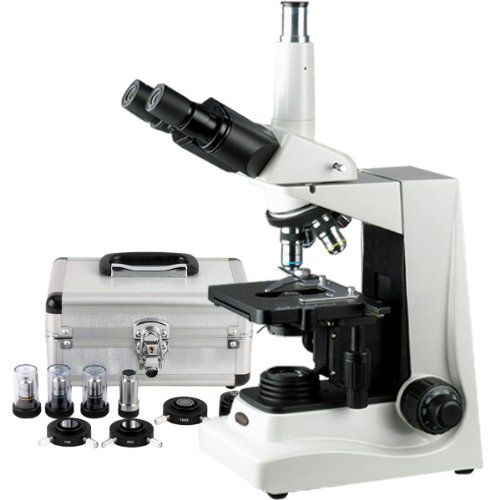 AmScope Phase Contrast Trinocular Compound Microscope 40X-1600X