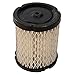 Tecumseh 102-285 Air Filter primary
