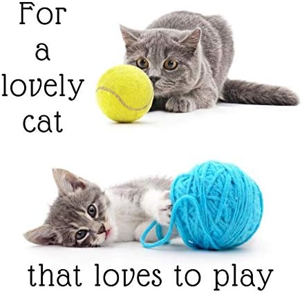 cool cats toy planet