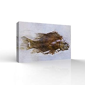 Vintage Animal Fossil Living Room Poster