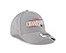 NFL New England Patriots Men's 2016 AFC Conference Champs 9FORTY Adjustable Cap, One Size, Gray
