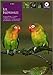 INSEPARABLES (OISEAUX) by 