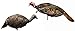 MONTANA DECOY Purr-fect Pair