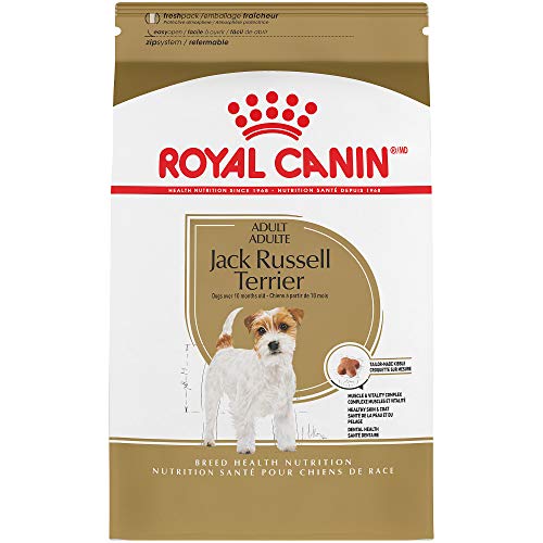 royal canin jack russell
