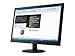 HP K0Q34A8#ABA V241P 23.6'' LED-Backlit LCD Monitor, Black