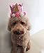 POSAPET Crown Dog Birthday Hat Girl Reusable Doggie Birthday Party Hat with Numbers Puppy Birthday Crown Hats for Dogs Cats Kitten Headband Hats Pink