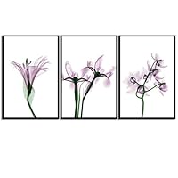 Framed Canvas Wall Art X-Ray Flowers Canvas Prints Home Artwork Decoration for Living Room,Bedroom - 16
