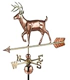 Good Directions White Tail Buck / Deer