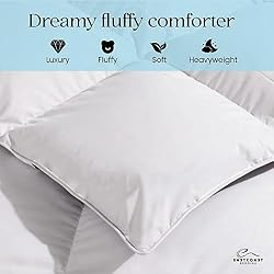 East Coast Bedding Cozy Dream Goose Down and