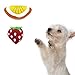 Petzilla PCT-1 Squeaky Sound Chew Toys Package for Pet Dog & Cats (Fruits)