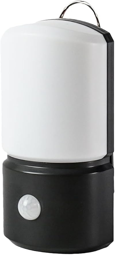 Festive Lights 15.5cm PIR Motion Sensor Outdoor Wall Light IP44 2 LEDs