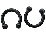 Classic Ball Black Horseshoe Earrings (10 Gauge) Fashion Ear Plugs (1 pc)