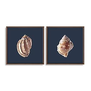 2 Piece Framed Canvas Wall Art for Living Room, Bedroom Conch Theme Canvas Prints for Home Decoration Ready to Hang - 16"x16"x2 Panels