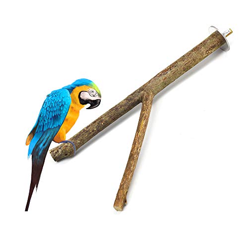 GNB PET 2 Pack Bird Perch Parrot Natural Wood Fork Stand Perch (5.9 Inches to 7.87 Inches), Birdcage Stands Platform Pet Bird Toys with Stainless Steel Washers
