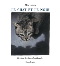 Le  chat et le noir