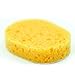 Replacement Sponges for Back Applicator Deluxe: Huge 20 Pack. Stick Sponge Onto Handle to Put Lotion, Medical Cream, Aloe Vera Gel, Health Supplies & Medicine on Your Body, Feet. Easy Application Tool
