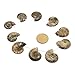 Justinstones 10pcs Side Drilled Natural Ammonite Fossil Loose Gemstone Beads