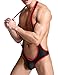 sandbank Men’s Sexy Mesh Wrestling Singlet Underwear Jockstrap Bodysuit Jumpsuit (M, Black)