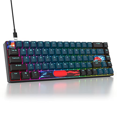 Mosptnspg Compact 65% Wired Mechanical Keyboard