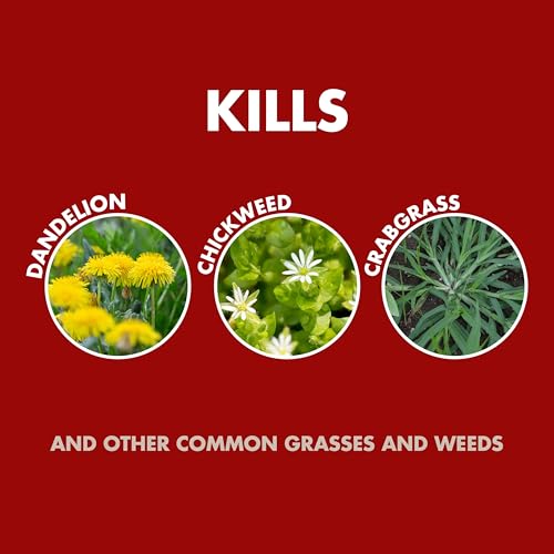 1 GAL READY-TO-USE GRASS AND WEED KILLER
