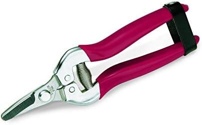 Archman 635 Scissor Curved Blade Grape Harvest and Garden, Stainless Steel, 17 cm