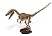 Geoworld Dino Excavation Kit - Velociraptor Skeleton