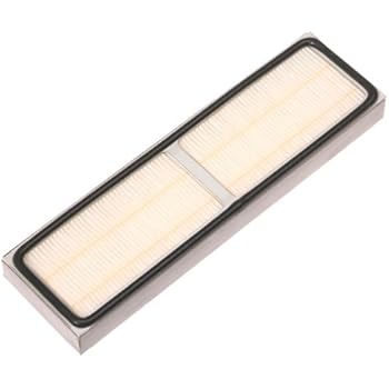 Amazon.com - Royal Dirt Devil Filter Perma Vision 086925 