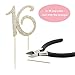 Sweet 16 GOLD Birthday Cake Topper | Premium Crystal Rhinestone Diamond Bling Gems | Monogram Number Sixteen | 16th Birthday Party Decoration Ideas | Perfect Keepsake for Sweet 16 (16 Gold)