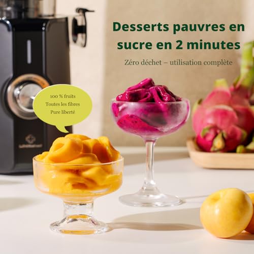 LINKChef Fruit and Vegetable Juicer, Slow Juicer 200 W with Large Opening 115 mm for Whole Fruits, Compact Juice Machine, BPA-Free, Easy to Install and Clean, with 2 Glasses