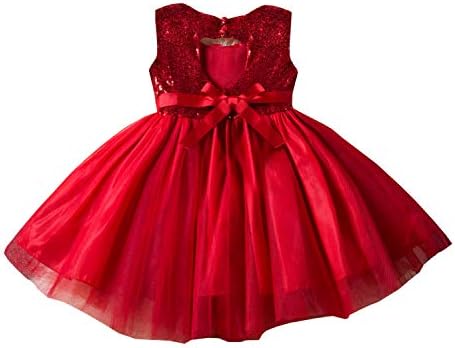 Toddler/Little/Baby Girls Sequin Tulle Embroidered Elegant Tutu Backless Dresses