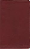 The Message//REMIX New Testament Red Leather-Look: The New Testament in Contemporary Language (Living the Questions)