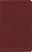 The Message//REMIX New Testament Red Leather-Look: The New Testament in Contemporary Language (Living the Questions)