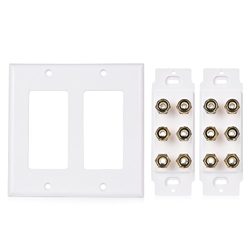 Cable Matters Double Gang Speaker Wall Plate (Banana Plug Wall Plate