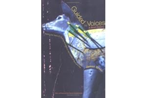 Guided by Voices: A Brief History: Twenty-One Years of Hunting Accidents in the Forests of Rock and Roll