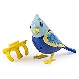 DigiBirds Single Pack, Bali