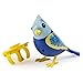 Digi Birds Single Pack, Bali