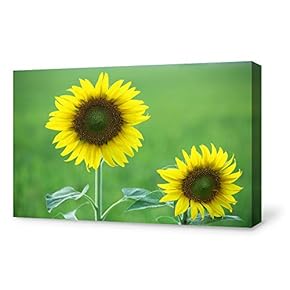 Canvas Wall Art for Living Room,Bedroom Home Artwork Paintings Sunflower Ready to Hang - 12x18 inches
