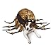 Zack & Zoey Fuzzy Tarantula Costume for Dogs, 20