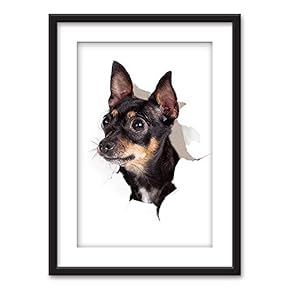 Framed Wall Art - A Dog Sticks its Head Out a Cracked White Paper - Black Picture Frames White Matting - 23x31 inches