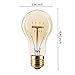 KINGSO 6Packs Vintage Edison Bulbs 60W A19 Squirrel Cage Filament Incandescent Antique Dimmable Light Bulb for Home Light Fixtures E27 Base 110V-23 Anchors