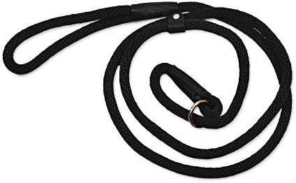 Rover on Main Slip Lead Dog Leash by for Training by Cesar Milan Six Feet Multiple Colors Made in The USA