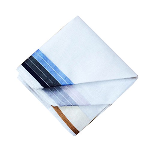 6/9 Pack of Mens Striped Border Cotton Handkerchiefs