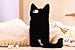 DierCosy iPhone 6 Case Fashion Cute 3D Cat Shaped Ear Fluffy Plush Fur Soft TPU Case with Soft Tail for iPhone 6 6G 4.7 inch (Black)