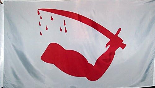 COLIBROX Life Gears 3x5 Super Polyester Dimmit's Goliad Flag of Texas Flag Indoor Outdoor